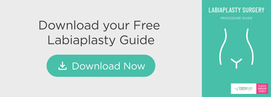 Labiaplasty Download